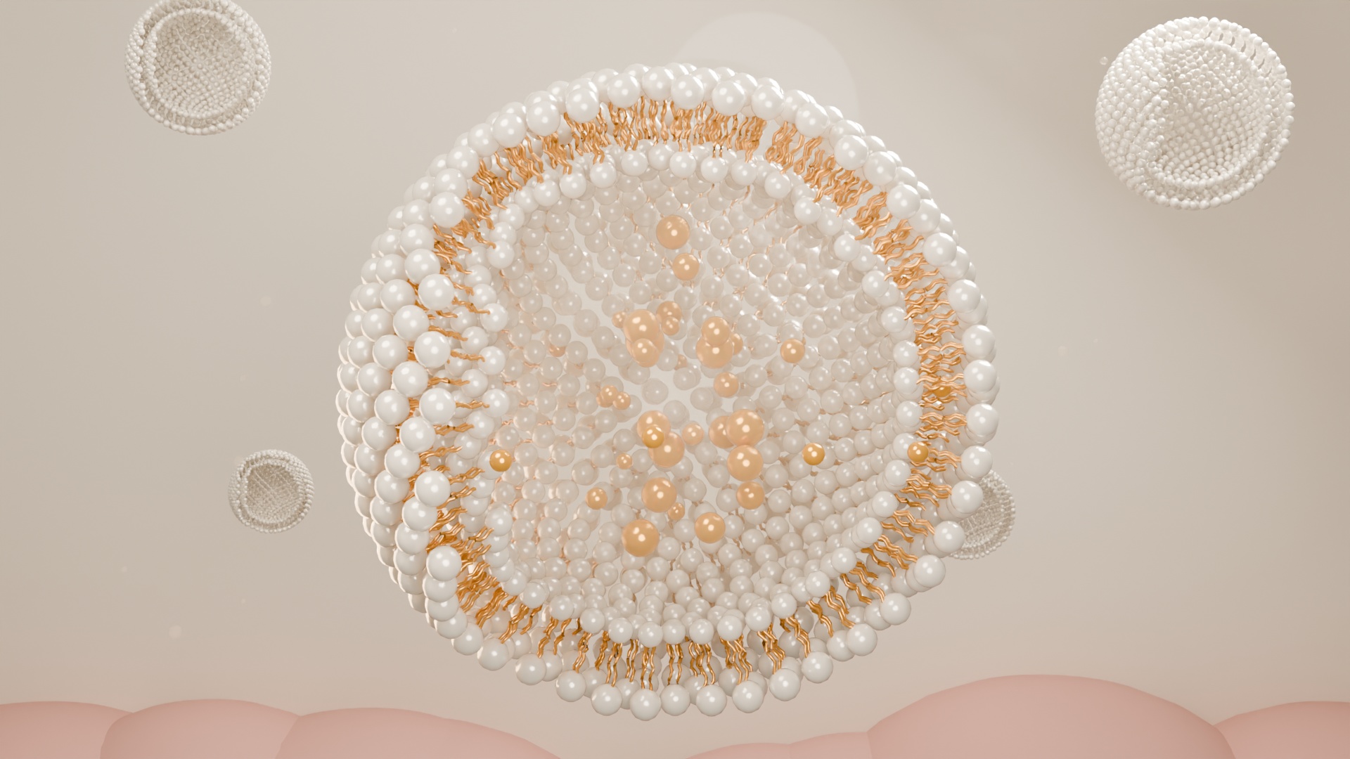 Cutaway of a liposome: two layers of pale heads surround golden tails; golden compounds appear inside the water-based core and within the bilayer