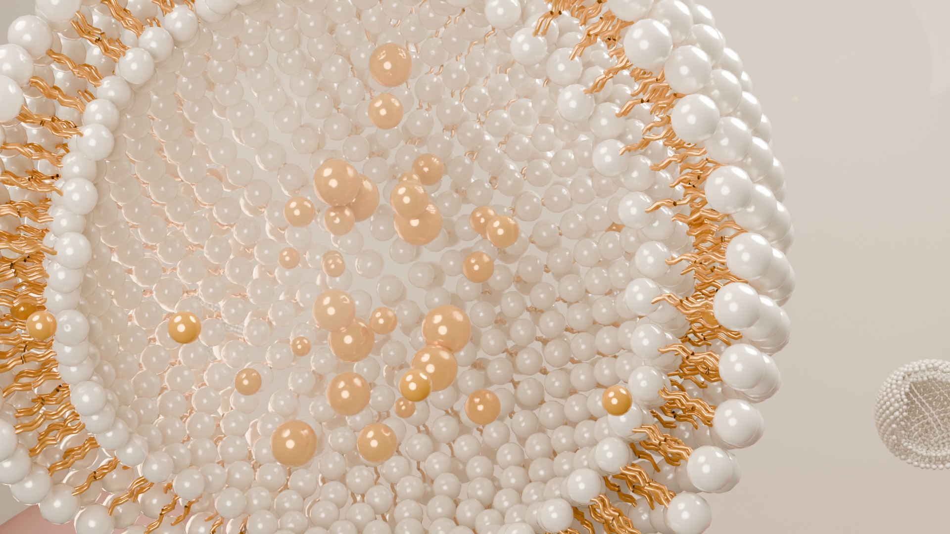 Close view of pale phospholipid heads and the golden tails between the two layers